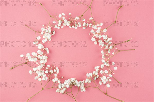 Circular shape made from baby s breath against peach background