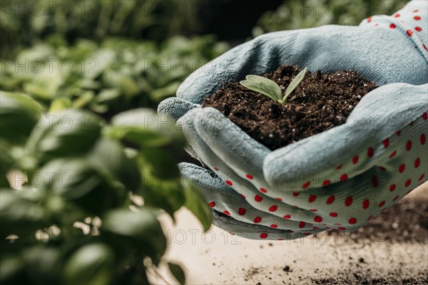 Side view hands with gloves holding soil plant