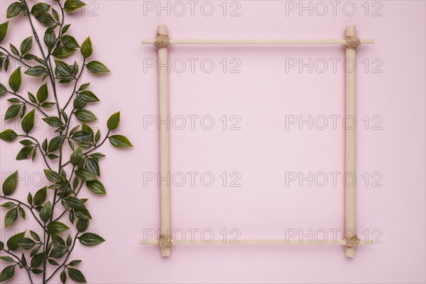 Wooden square frame with artificial green leaves pink backdrop