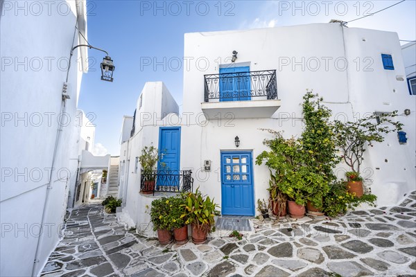 White Cycladic houses with blue doors and windows and flower pots