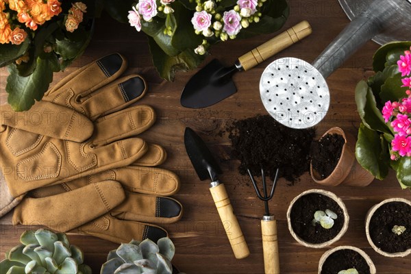 Frame tools gardening