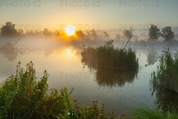 Moorland lake