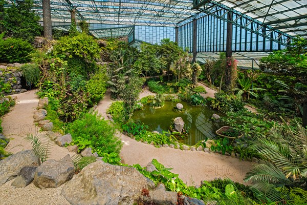 Interior view of the cold house Estufa Fria is a greenhouse with gardens