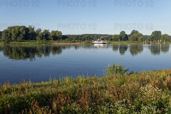 The Elbe near Darchau in the UNESCO Biosphere Reserve Elbe River Landscape