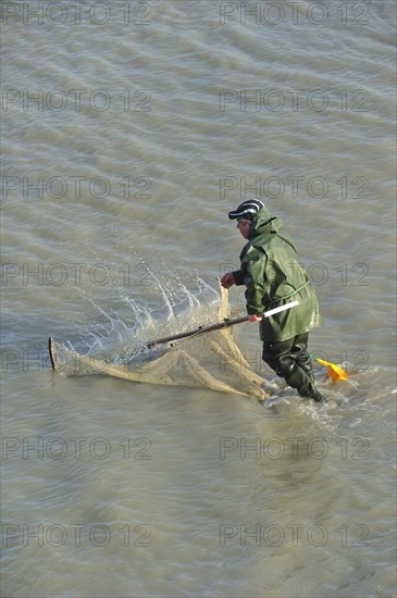 Shrimper fishing for shrimps with shrimping net along the beach at Le Treport