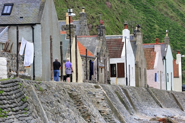 Crovie