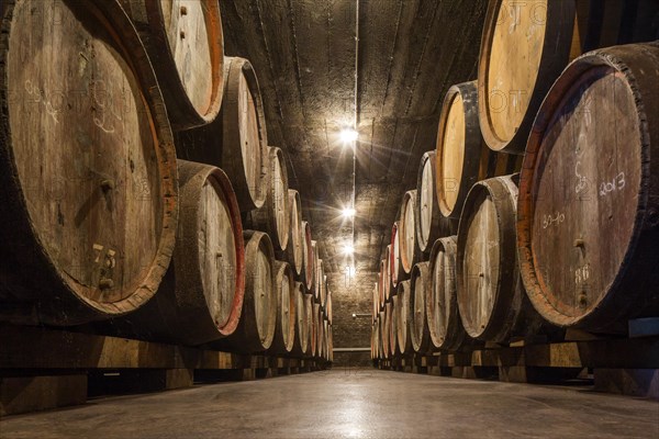 Wooden beer barrels at Oud Beersel