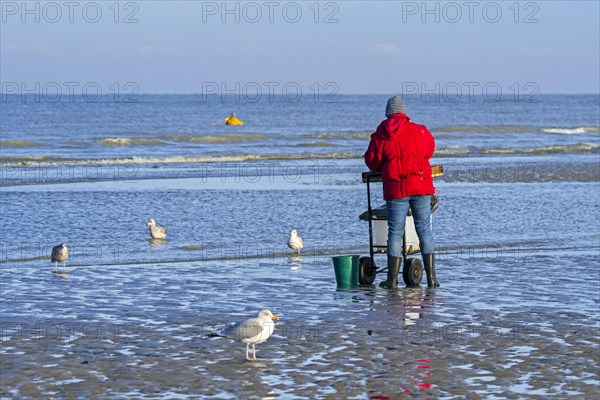 Shrimper sorting catch from shrimp drag net