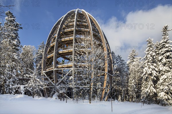 Baumwipfelpfad in winter