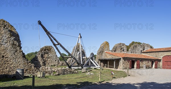 Medieval wooden human powered treadwheel crane at the Chateau de Tiffauges