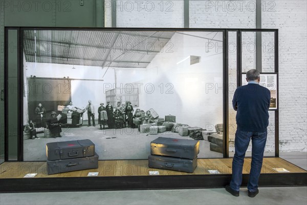 Visitor looking at old suitcases from 19th century emigrants in the Red Star Line museum in the port of Antwerp