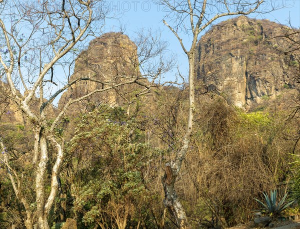 Mountainous wooded countryside