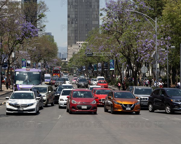 Traffic on Avenue Juarez
