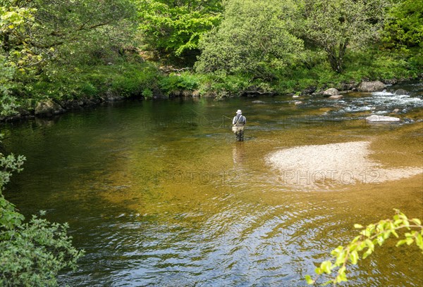 Man fly fishing standing in West Dart River