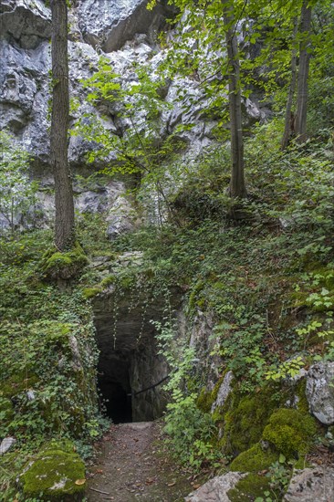 Grottes de Goyet near Mozet