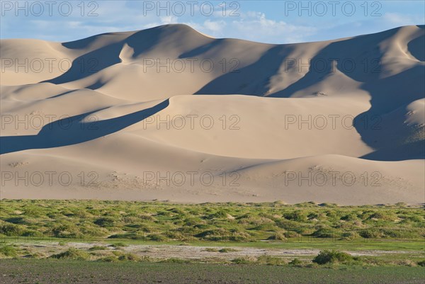 Lush green grassland in front of the large sand dunes Khorgoryn Els in the Gobi Desert