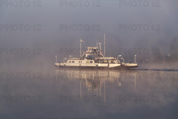 The Elbe ferry Tanja in the early morning mist between Darchau and Neudarchau on the Elbe in the UNESCO Biosphere Reserve Elbe River Landscape. Amt Neuhaus