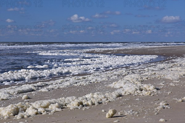 Sea foam