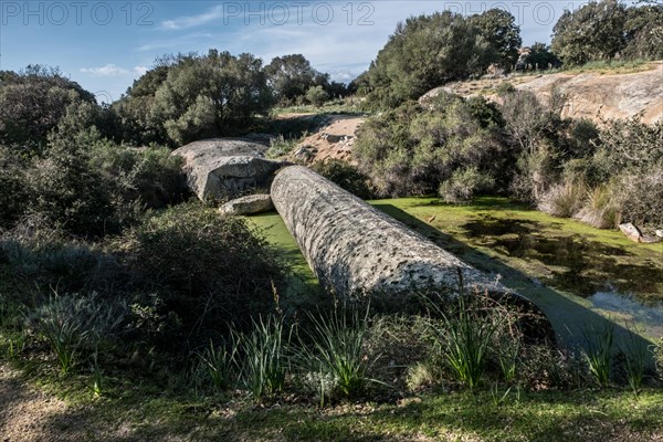 The monolith of Corbara. In 1828