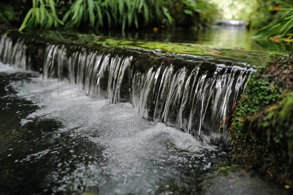 Water flowing through a wooded area on a cold day along the Wild Atlantic way