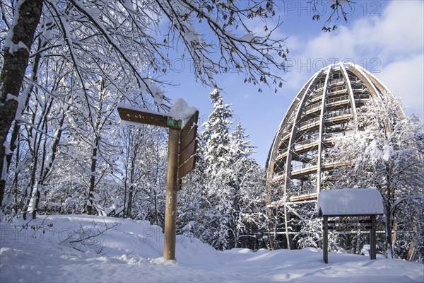 Baumwipfelpfad in winter