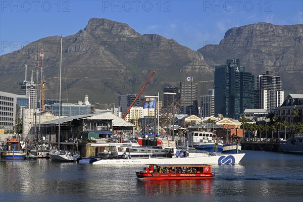 Excursion boat at the Victoria and Alfred Waterfront