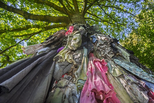 Old clothes hanging from the Chene a clous