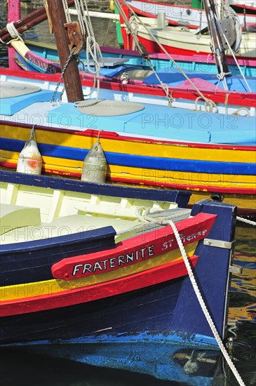 Traditional colourful fishing boats for fishing anchovies in the harbour at Collioure