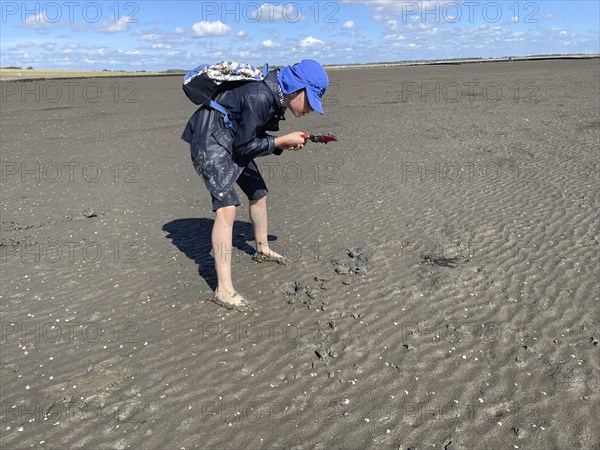 Mudflat walk