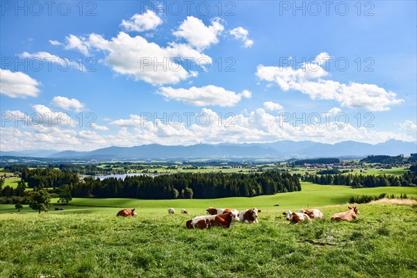 View from the Auerberg near Bernbeuern to the Allgaeu mountains near Fuessen