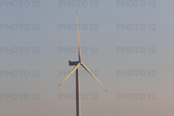 Wind turbine of the Hamburg Wasser company in the evening light in the Port of Hamburg