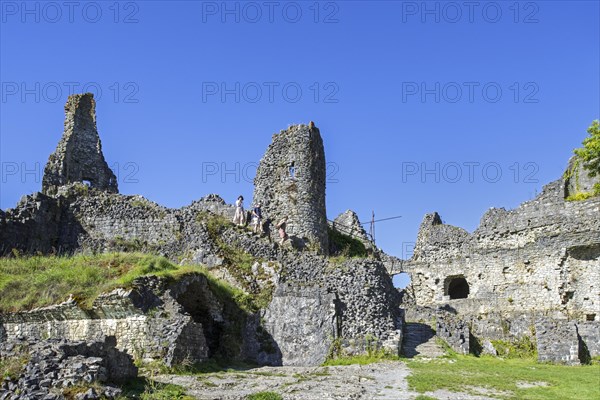 Chateau de Montaigle in summer