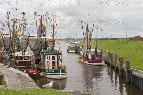 Crab cutter in Greetsiel harbour