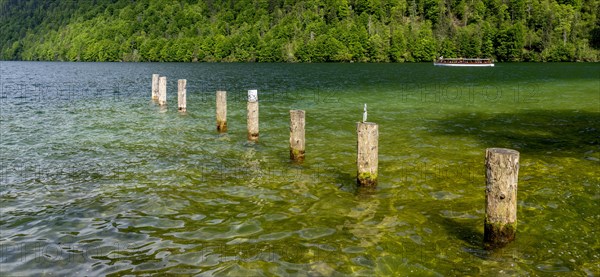 Landscape and nature reserves around the Obersee