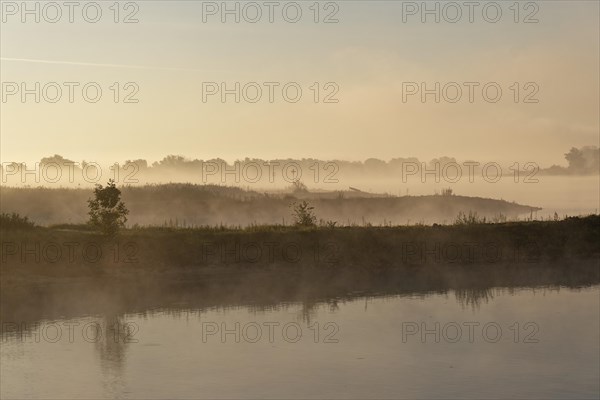 Morning atmosphere in the Elbe floodplain near Darchau in the Elbe River Landscape UNESCO Biosphere Reserve. Amt Neuhaus