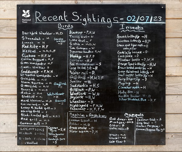 Recent bird and wildlife sightings litsed on blackboard
