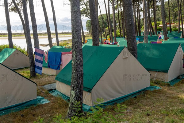 Tents in campsite