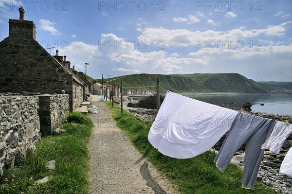 Crovie