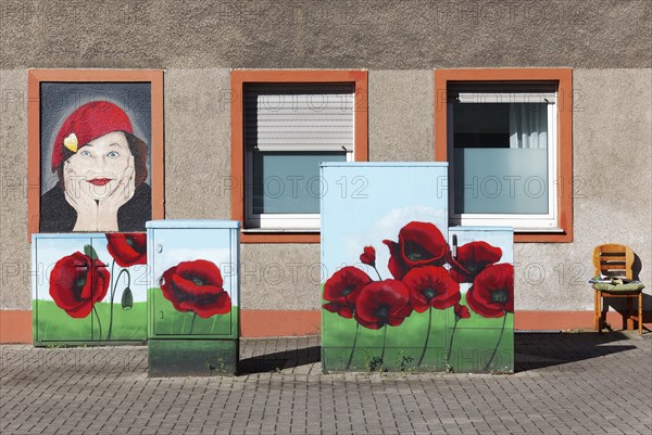 Fictitious front garden with poppies and meadow