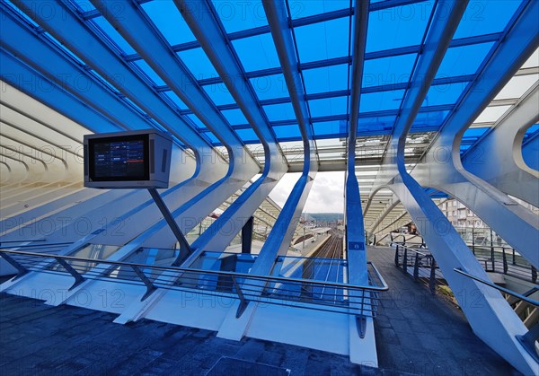 Screen at Liege-Guillemins station