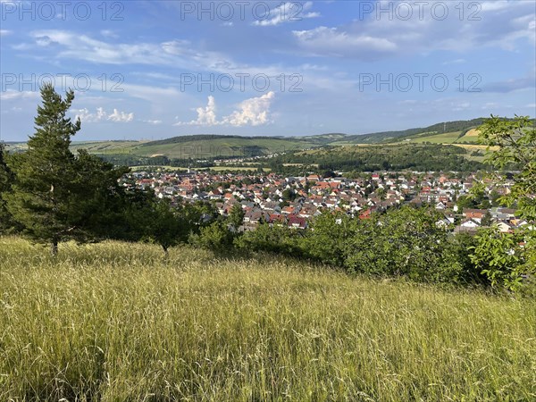 View of the town of Lauda-Koenigshofen