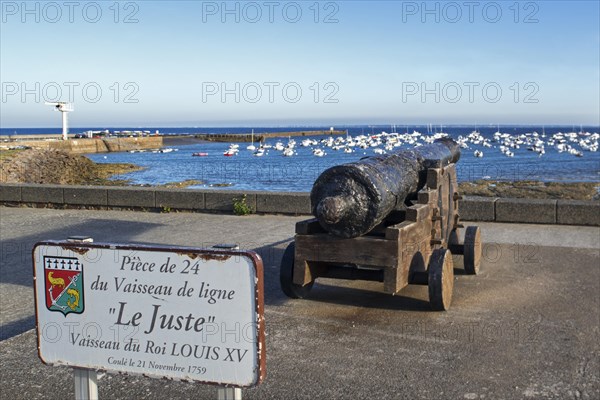 Salvaged 18th century ship's cannon from the Juste