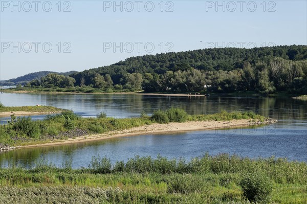 Elbe floodplain near Darchau in the Elbe River Landscape UNESCO Biosphere Reserve. Amt Neuhaus