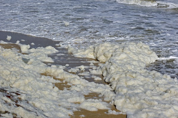 Sea foam