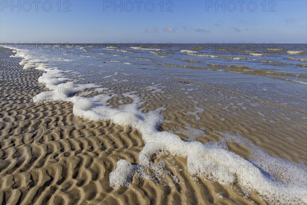 Foam on sand ripples on sandy beach