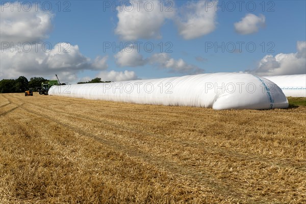 HYTIBAG grain silo bags in cereal field