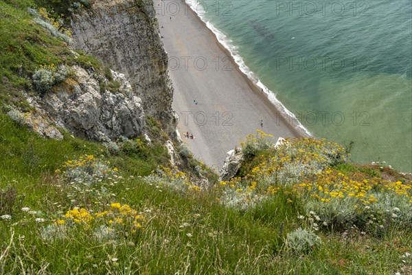 Rock cliffs and chalk cliffs of Etretat