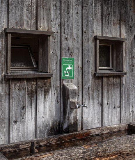 Drinking water on the wooden wall of a wooden shed