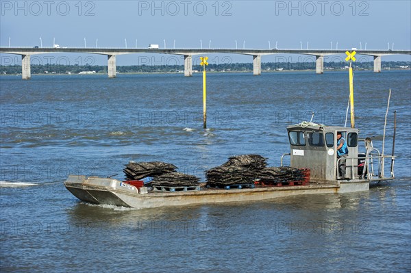 The bridge pont de l'ile d'Oleron and flat bottomed oyster-boat loaded with bags filled with harvested oysters at Bourcefranc-le-Chapus