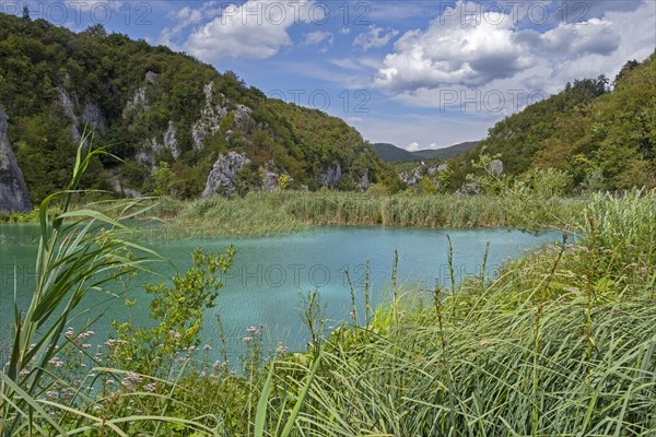 Lake in the Plitvice Lakes National Park